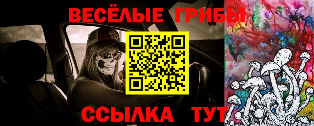 Тихвин  Псилоцибиновые грибы Psilocybe  купить  цена  Вход с VPN 